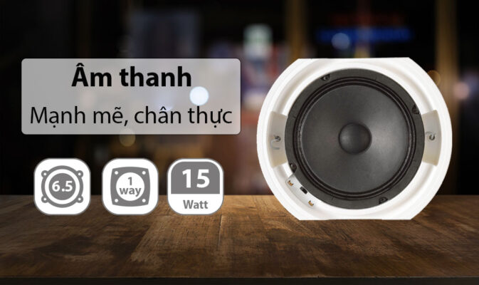 Loa âm trần Inter-M CS-615F Loa âm trần Inter-M CS-615F